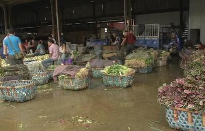 菜價持續(xù)走低，應(yīng)季蔬菜批量上市成主因