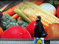 法國2003年食品零售價格指數(shù)微降 新鮮水果零售價格變化分析