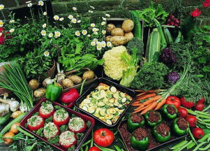 破解農(nóng)產(chǎn)品“賣難”困局 優(yōu)化食用農(nóng)產(chǎn)品零售的創(chuàng)新路徑